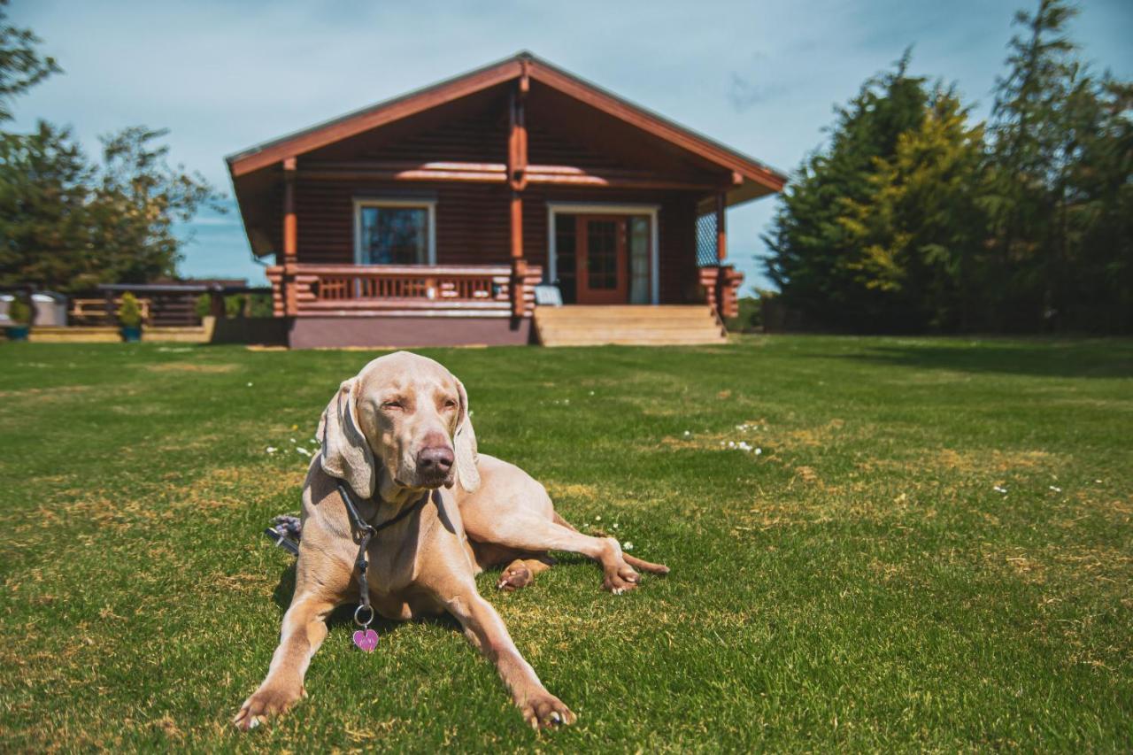 Tomatin - Luxury Two Bedroom Log Cabin With Hot Tub Berwick Upon Tweed Εξωτερικό φωτογραφία